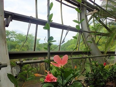 f0203094_11313548.jpg