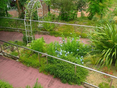 f0203094_11320785.jpg