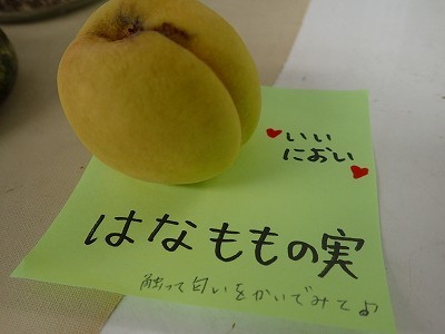 f0203094_13510544.jpg
