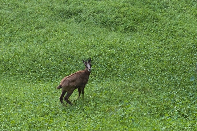 b0145398_23170995.jpg