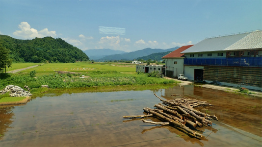 c0336902_20455366.jpg