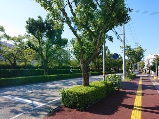 日本全国~北から南まで!_d0091909_08222648.jpg