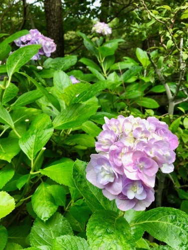 f0201310_11145687.jpg