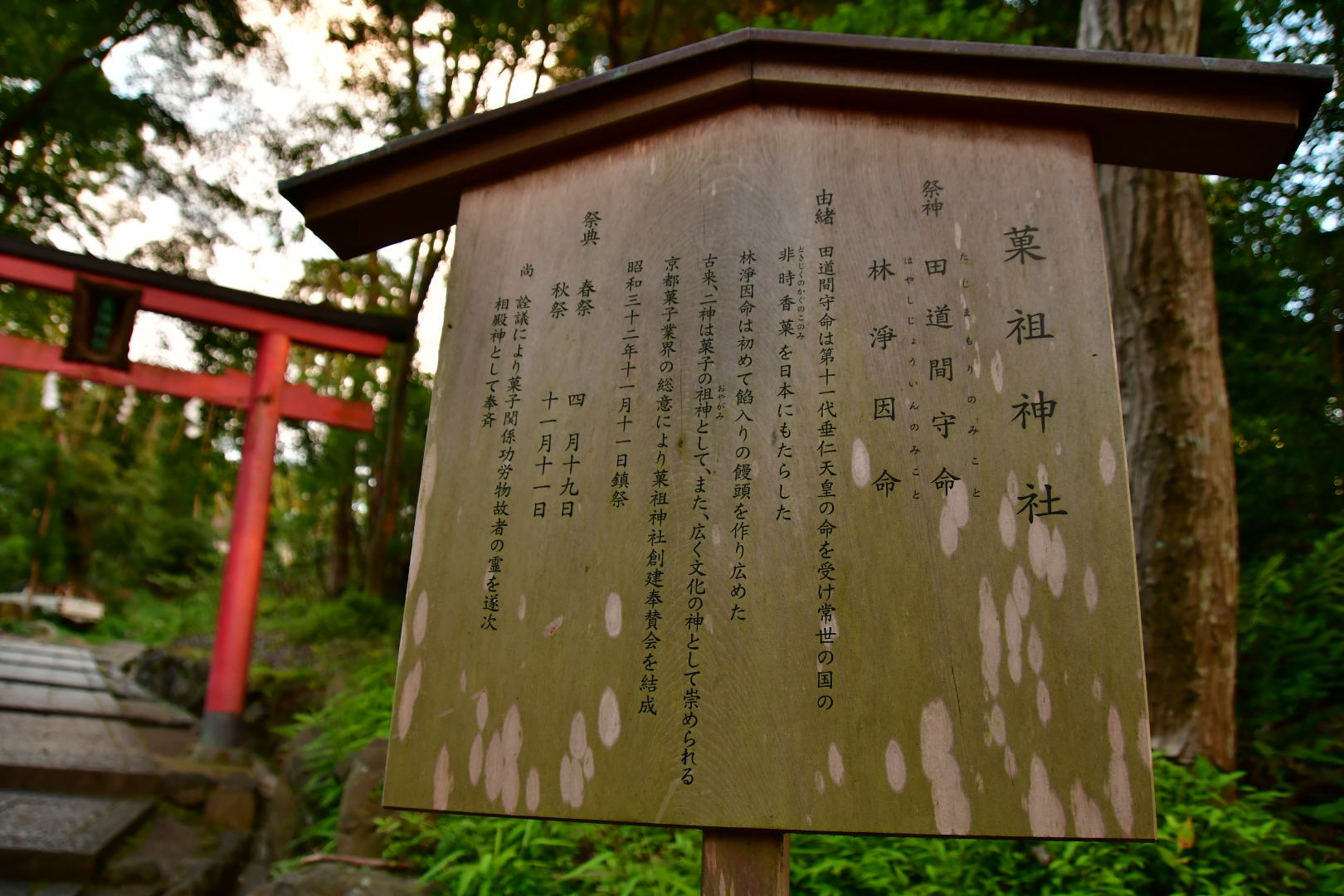 b0223512_23231050.jpeg