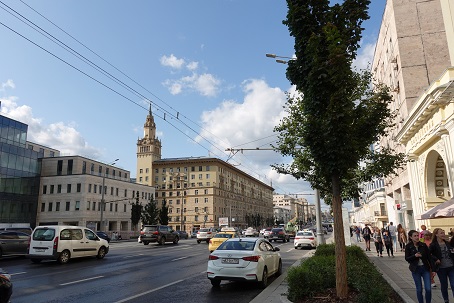 a0151913_3505278.jpg