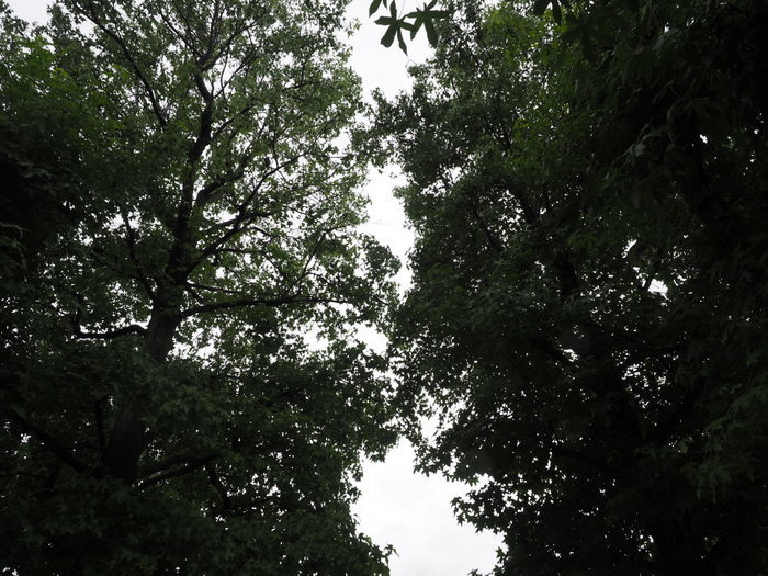 佐伯区民文化センター&五日市中央公園_c0116915_00073784.jpg