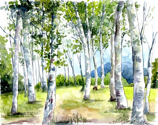 蒜山白樺の丘 絵日記