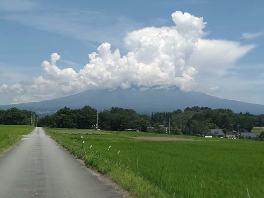 c0162128_20534701.jpg