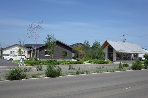 d0004728_13532925.jpg