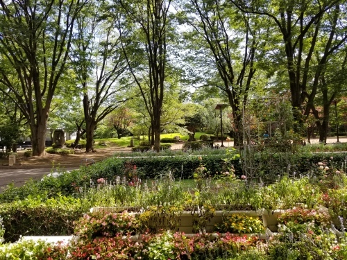 e0016828_08443839.jpg