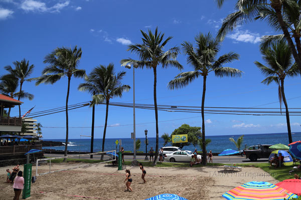 c0024729_16252272.jpg