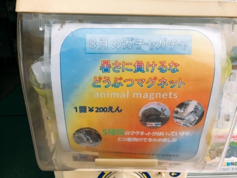 a0116430_11172218.jpeg