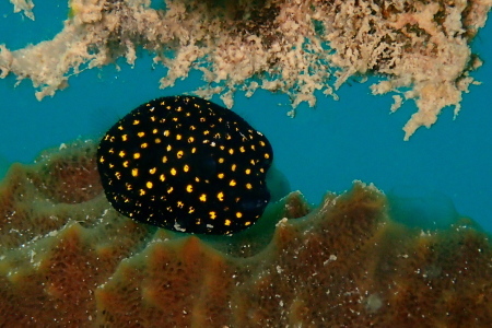 b0100730_20024227.jpg