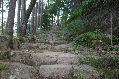 a0345833_20300234.jpg