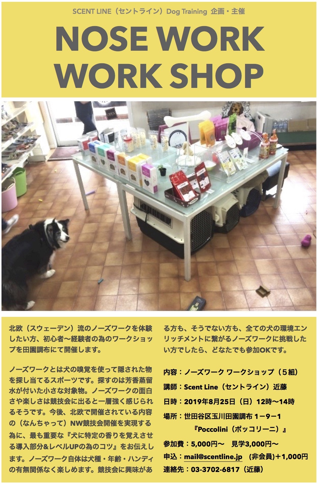 ノーズワーク・ワークショップのお知らせ_c0099133_10442603.jpg