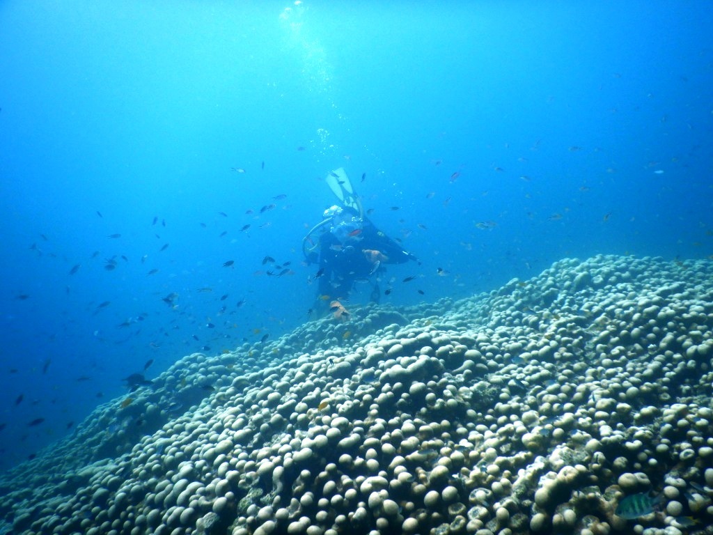 a0189838_18323185.jpg