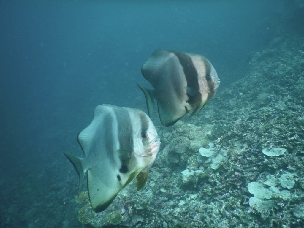 a0189838_18344425.jpg