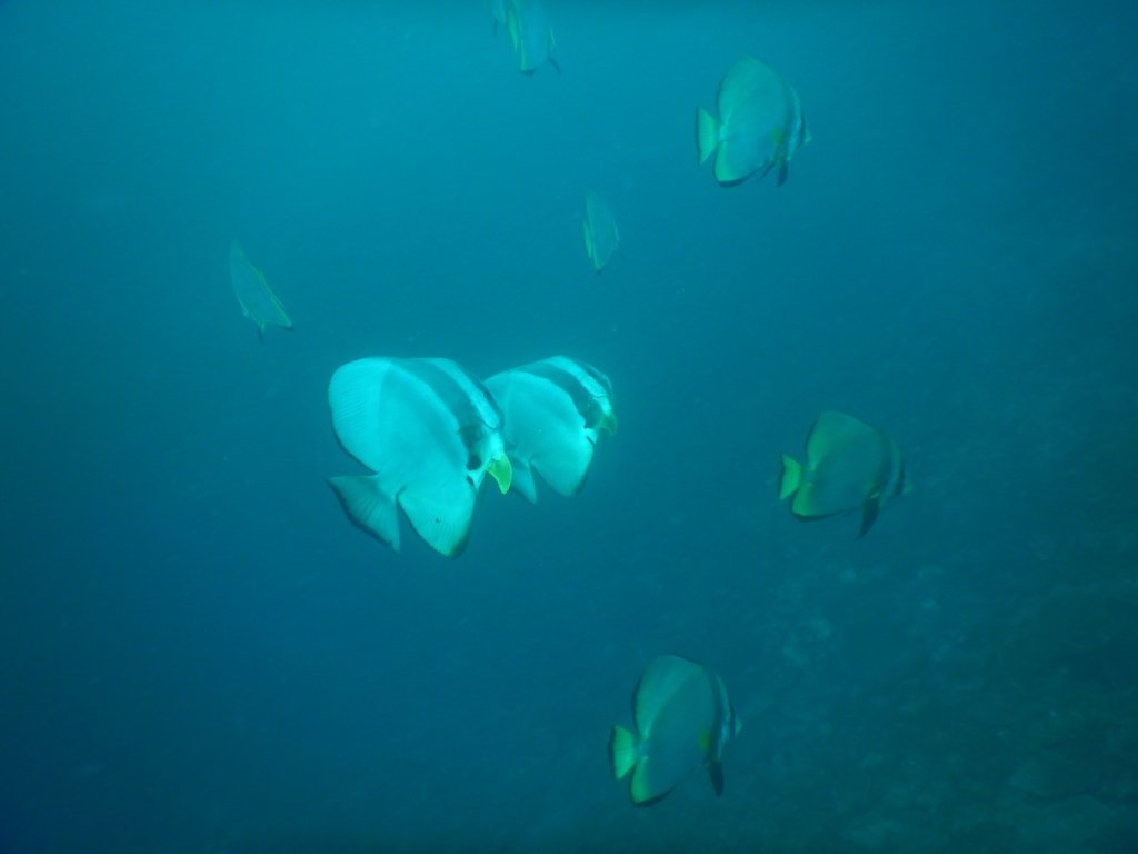 a0189838_18355696.jpg