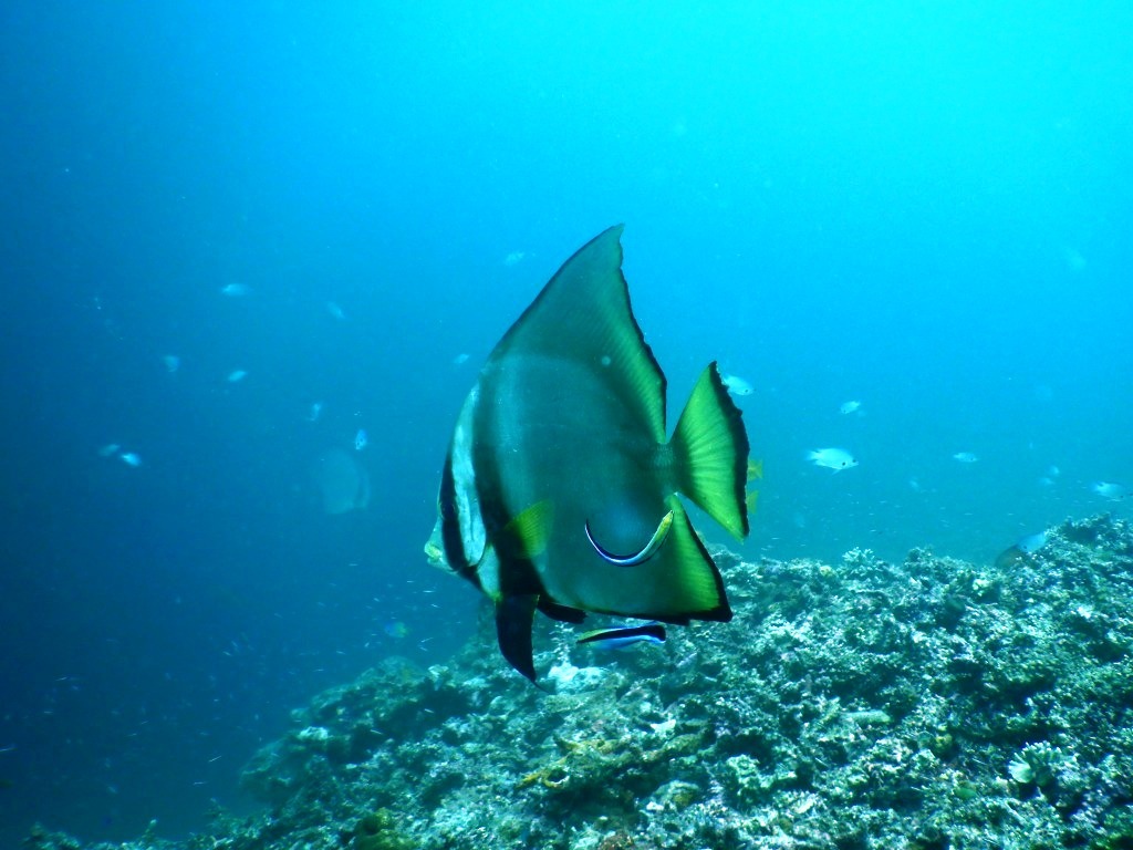a0189838_18373174.jpg