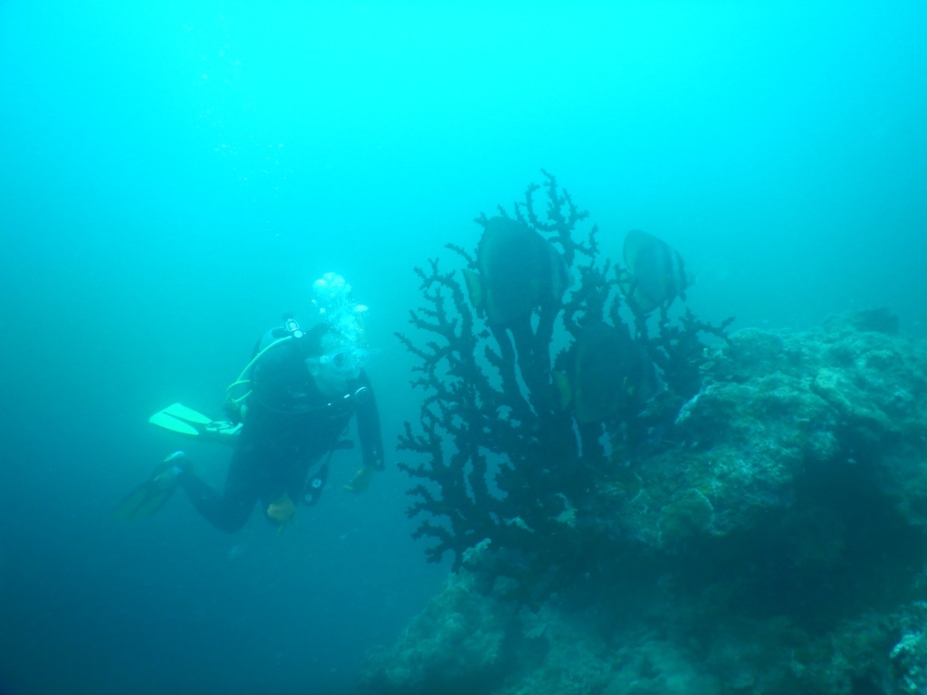 a0189838_18383525.jpg