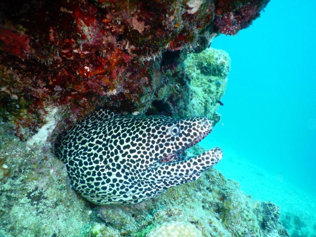 a0189838_19082485.jpg