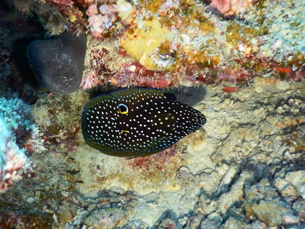 a0189838_19091271.jpg