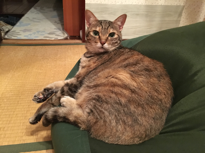 毎日暑いです_c0076939_23404645.jpg