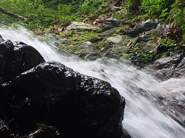 f0334143_7373761.jpg