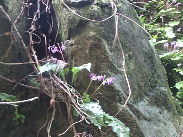 f0334143_7375898.jpg