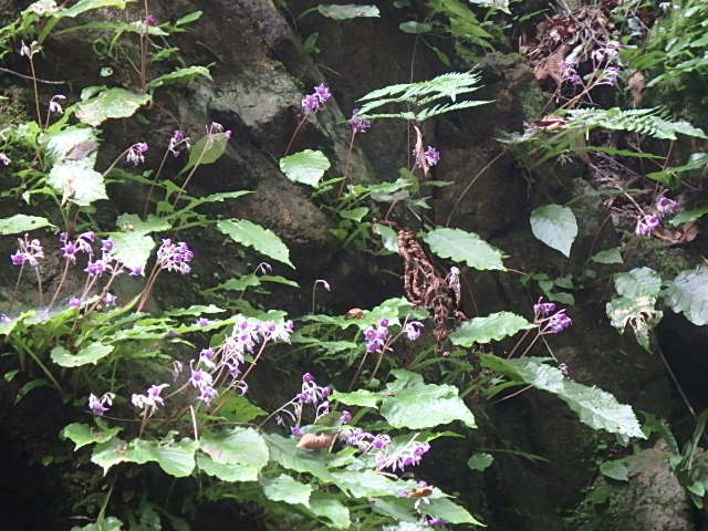 f0334143_7381792.jpg