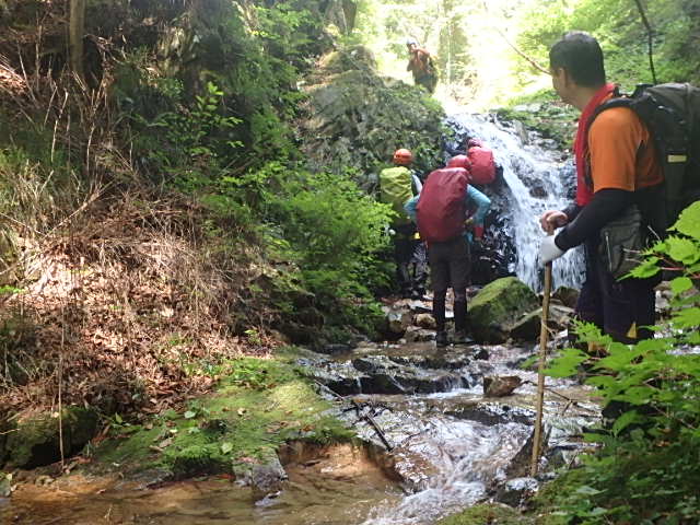 f0334143_743239.jpg