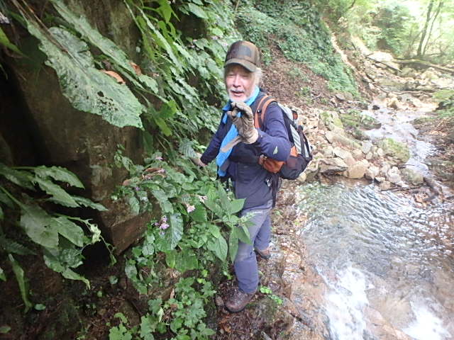 f0334143_7462559.jpg