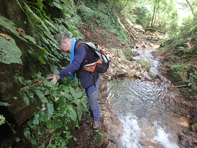 f0334143_7463636.jpg