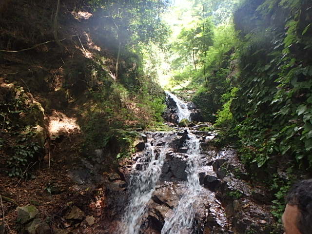 f0334143_7483032.jpg