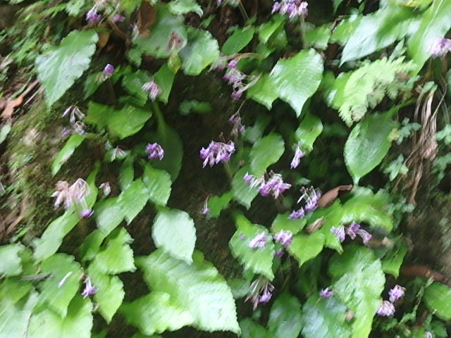 f0334143_7485084.jpg