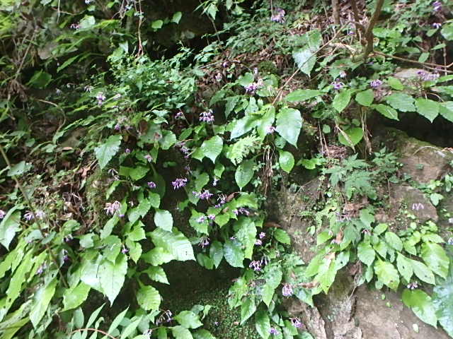 f0334143_749225.jpg