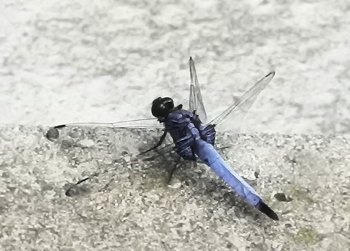 d0322448_09295598.jpg