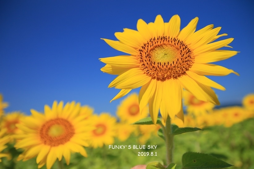 c0145250_09425497.jpg