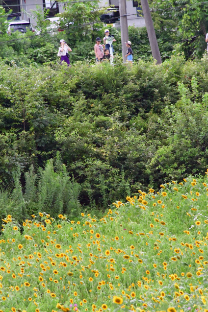 b0214652_19093420.jpg