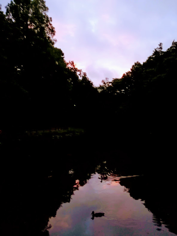 a0248459_19502950.jpg