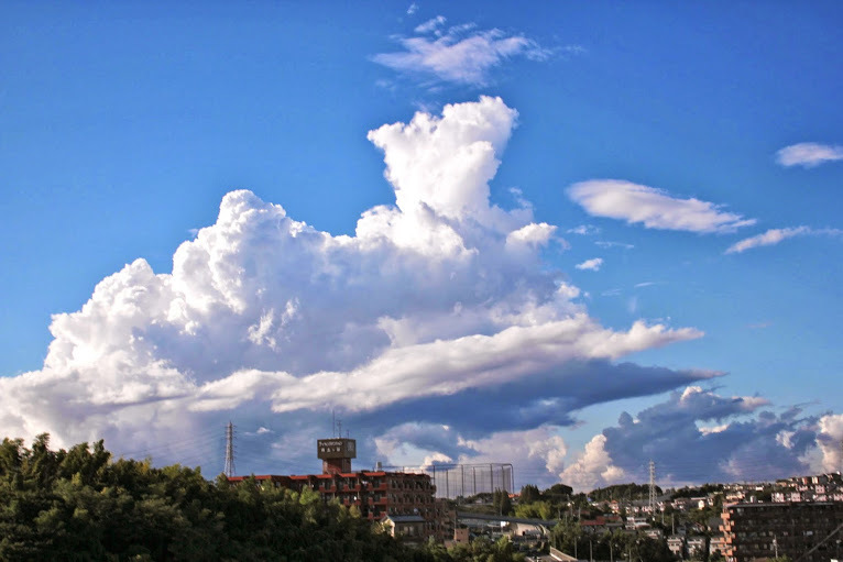 a0248459_19503953.jpg