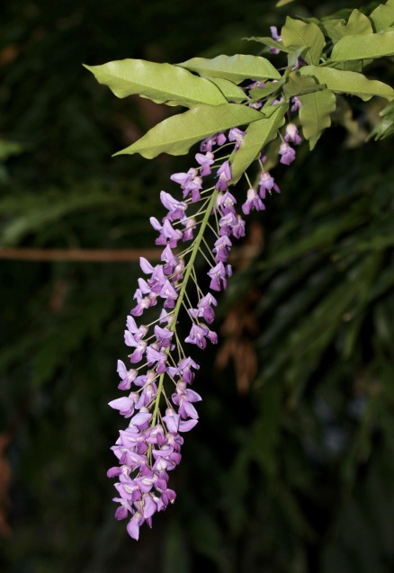 a0248459_19530177.jpg