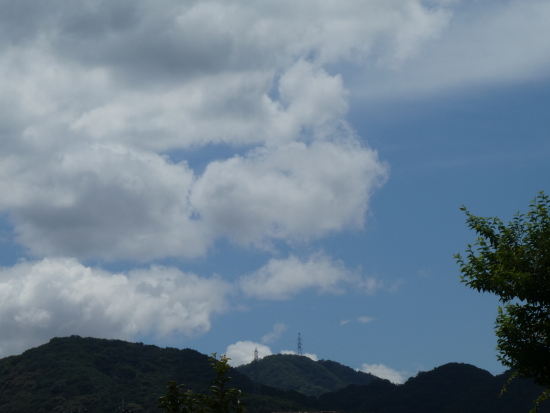 c0108460_14561439.jpg