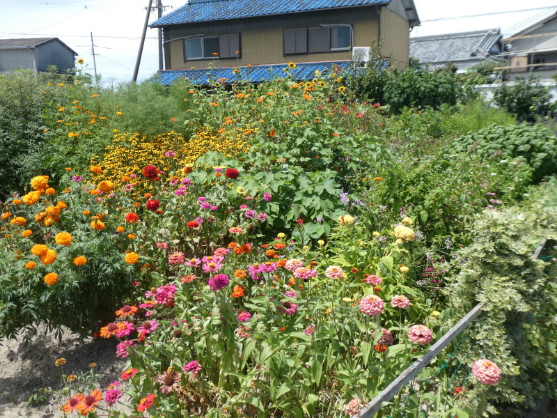 c0108460_14572654.jpg