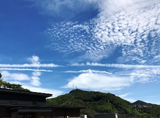 今日のつぶやき2904 あおぞらのキャンバス 今日のつぶやき2904 あおぞらのキャンバス