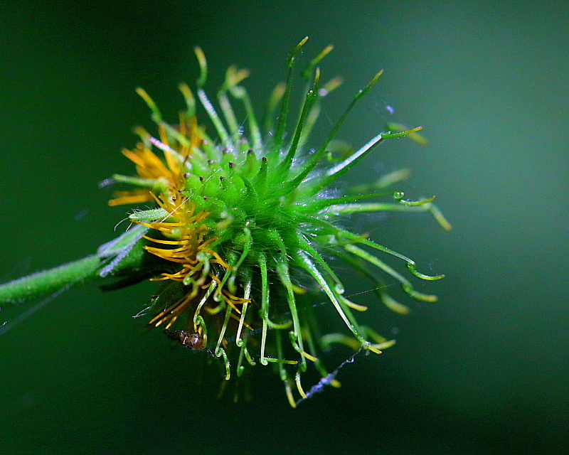 c0305565_17410255.jpg
