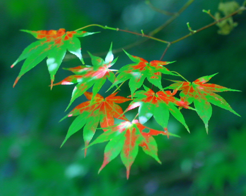 c0305565_17430815.jpg