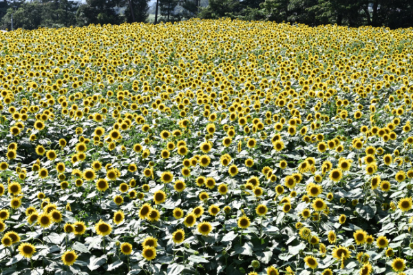 b0183370_12121482.jpg