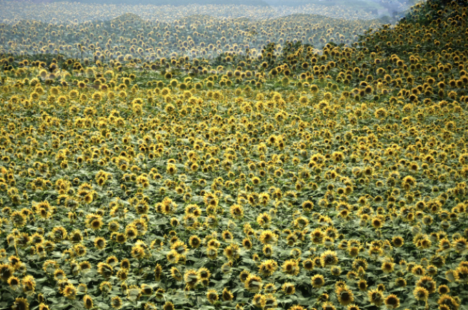 b0183370_12123864.jpg