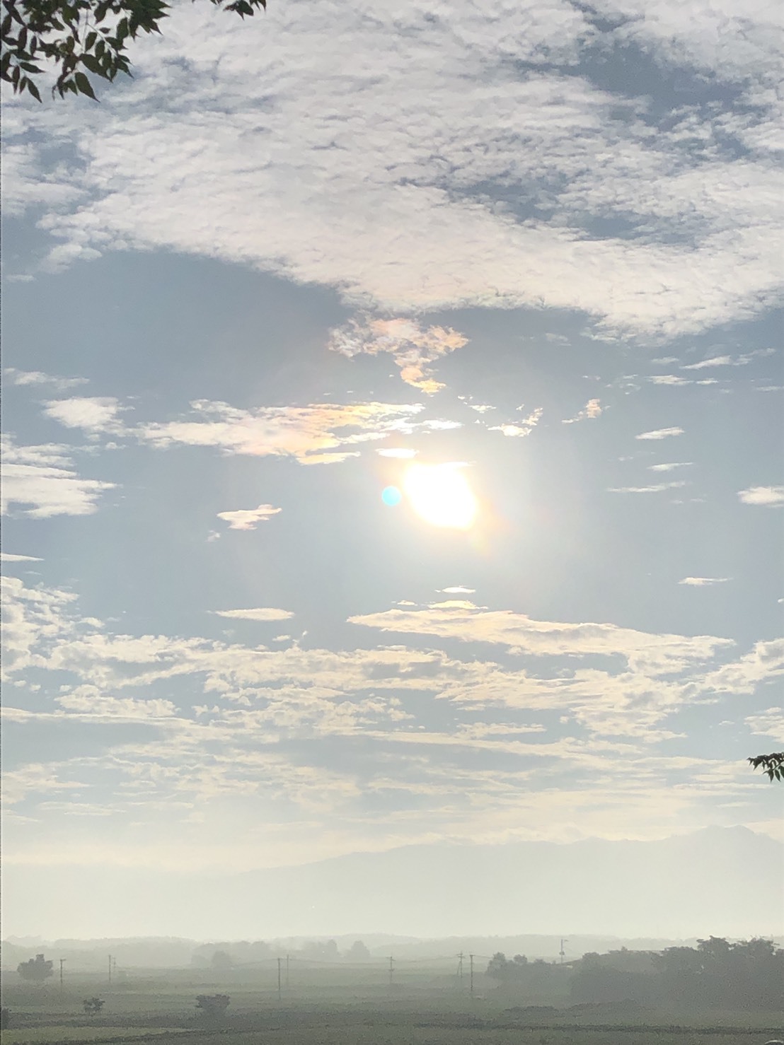 あなたが見ていく景色***_e0290872_22360586.jpg